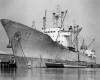 MS Magdeburg 1.jpg